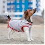 Жилет для собак Pet Fashion FLEECY сіро-червоний S (4823082419630): Розмір тваринного Маленькие