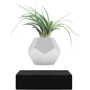 Левітуючий вазон Flyte Planter чорний (01-LBLA-MUL-V1-0)