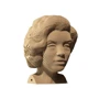 Картонный конструктор Cartonic 3D Puzzle MARILYN фото 6