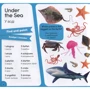 100 слів про тварин світу / 100 words about animals of the World. Фотокнижка-шукалка: ISBN 9786177686452