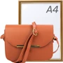 Женская сумка-сэтчел Valiria Fashion коричневая (4DETBI-184-10): Стиль Повседневный (Casual)