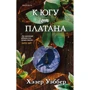 Хэзер Уэббер: К югу от платана