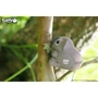 Сборная 3D модель Eugy Зоопарк: Коала (XEG-016)