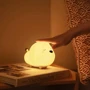 Ночник NIght Light Baseus Cute Series Doggie white: Тип питания Аккумулятор