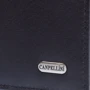 Мужское портмоне Canpellini черное (SHI1021-1): Тип Портмоне