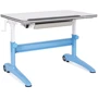 Парта SingBee Wisdom L Blue (KDF-WG107-BL)