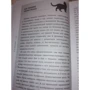 Планета кошек: Жанр Домашние животные