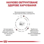 Сухой корм для щенков Royal Canin Gastro Intestinal Junior Canine при нарушениях пищеварения 2.5 кг (39570251): Класс Супер премиум