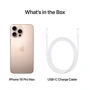 Apple iPhone 16 Pro Max 512GB Desert Titanium (MYX23SX/A) UA фото 11