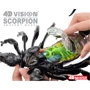 Объемная анатомическая модель 4D Master Скорпион (FM-622033) фото 15