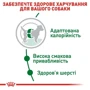 Сухой корм для собак Royal Canin Mini Adult мелких пород 8 кг (3001080): Порода Малые