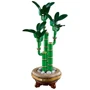 Конструктор LEGO Botanicals Бамбук счастья 325 деталей (10344): Рекомендуемый возраст 18+
