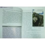 Нейл Шлехт: Португалия. Путеводитель Berlitz Pocket Guide: Жанр Путеводители