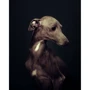 Vincent Lagrange: The Dogs. Human Animals: Жанр Искусство и фотография
