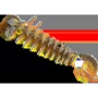 Сборная 3D модель Eugy Зоопарк: Плащеносная ящерица (XEG-108)