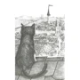 Комплект книг Фамильяры: Трое против Ведьмы + Загадки Короны + Круг Героев + Дворец Грез: Количество страниц 352 / 352 / 304 / 304
