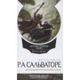 Роберт Сальваторе: Невервинтер. Том 2