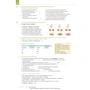 Motive A2, Lektion 9–18: Arbeitsbuch mit Audio-CD: Обложка Мягкая
