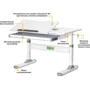 Комплект S ErgoKids TH-310 Grey парта + тумба (TH-310 + BD C3_GREY): Возраст ребенка от 5-ти лет