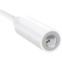 Адаптер Xiaomi ZMI Adapter Lightning to Mini-jack 3.5 White (AL810): Интерфейс подключения Lightning