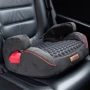 Автокрісло Coletto Avanti 15-36 кг сірий (9024-CAV-10): Група 2/3