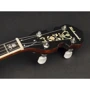 Банджо Richwood RMB-904