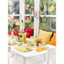 Сервировка стола Мешалка и медиаторTalking Tables Tropical Fiesta (FST6-STIRRER-PICK) фото 2