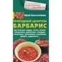 Юрий Константинов: Природный целитель барбарис
