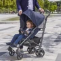 Прогулочная коляска Lite Way 3 Top Pied Poule (79599.35): Количество блоков 1