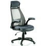 Special4You Briz 2 grey (E4978): Оснащение поясничный валик, подлокотники, подголовник, механизм качания, с крестовиной