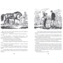 Майн Рид: Всадник без головы. Морской волчонок: ISBN 978-5-389-16281-5