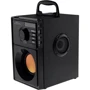 Акустика Media-Tech MT3145 V2 Black: Тип портативная