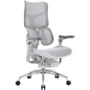 Офисное кресло Sihoo DORO S300 Mesh Light Grey (S300-M202)