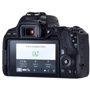 Canon EOS 250D Body: Тип матрицы CMOS