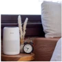 Очищувач повітря Levoit Air Purifier Core Mini (HEAPAPLVNEU0114Y): Застосування Для офиса, Для дома