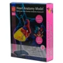 Модель сердца челокека Edu-Toys сборная, 14 см (SK009): Производитель EDU-Toys