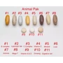 Universal Nutrition Animal Pak 15 packs: Форма выпуска Порошок