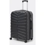 Чемодан Ricco Grande XL black (T15002black-XL): Тип Чемоданы