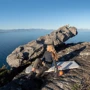 Надувной матрас Матрас самонадувающийся Naturehike CNK2300DZ013 сверхлегкий одноместный 35 мм (6976023926976): Материал нейлон