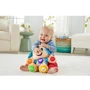 Умный щенок с технологией Smart Stages обновленный (UA) Fisher-Price (FPN91): Тип Музыкальная игрушка