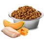 Беззерновой сухой корм Farmina N&D Grain Free Ocean Pumpkin & Cantaloupe Melon Puppy Mini для щенков мелких пород с треской и дыней 2.5 кг (173?413): Тип Сухой корм