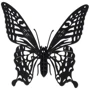 Метелик Butterfly Fridolin 3D модель