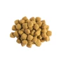 Сухий корм Purina Veterinary Diets Gastrointestinal для дорослих собак при розладах шлунково-кишкового тракту 1.5 кг (7613035159181): Порода всі породи