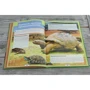 Д. Кошевар, Е. Папуниди: Животные нашей планеты: ISBN 978-5-17-101671-5