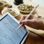 Стилус Hoco GM113 Active Capacitive Pen White: Совместимость Apple
