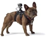 Крепление на собаку MSCAM Fetch Dog для экшн камер GoPro, SJCAM
