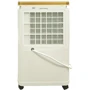 Осушитель воздуха Cooper&Hunter CH-D005WD8-12LD: Тип Мобильный