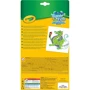 CRAYOLA Набір фломастерів CRAYOLA Washable 24 шт (256337.024): Кількість кольорів 24