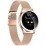 Смарт-часы Kingwear KW20 Metal Gold: Дисплей 1.04" TFT (240x204)