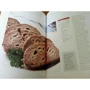 Рулеты. Коронные блюда: Количество страниц 94